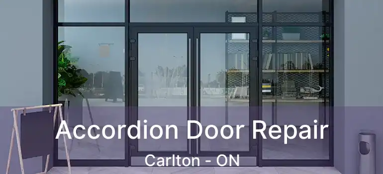 Accordion Door Repair Carlton - ON