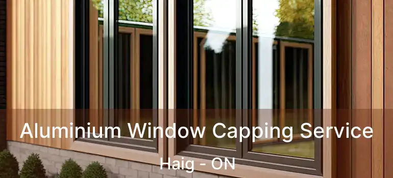  Aluminium Window Capping Service Haig - ON