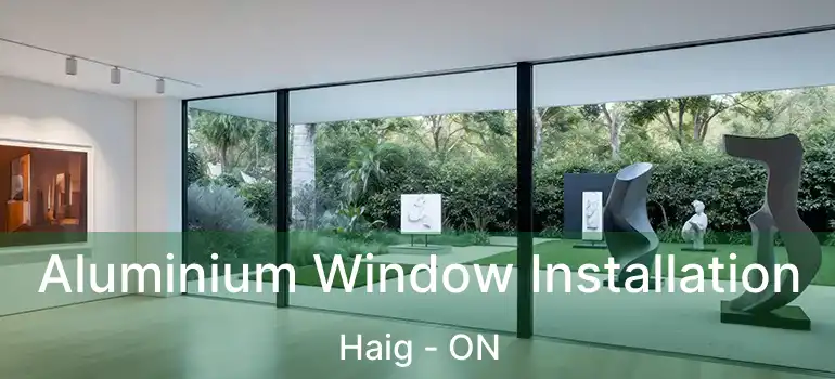 Aluminium Window Installation Haig - ON