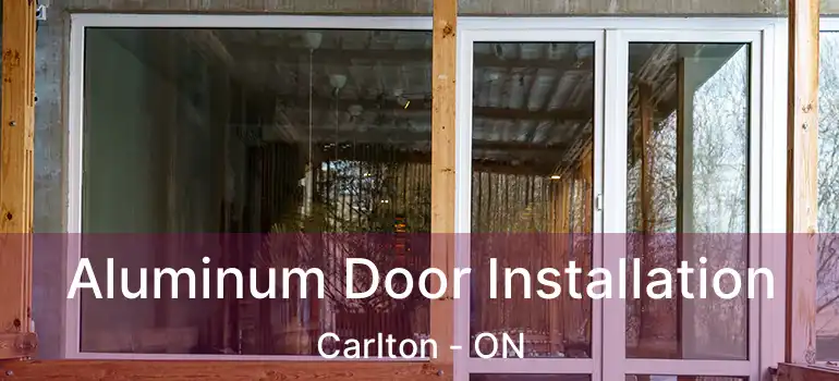 Aluminum Door Installation Carlton - ON