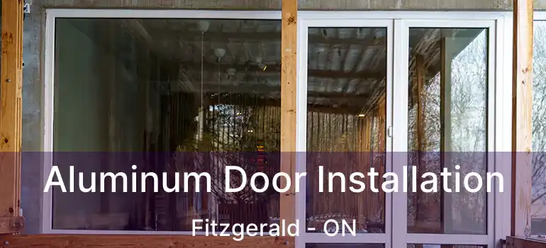 Aluminum Door Installation Fitzgerald - ON
