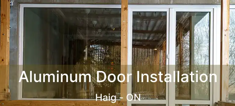 Aluminum Door Installation Haig - ON