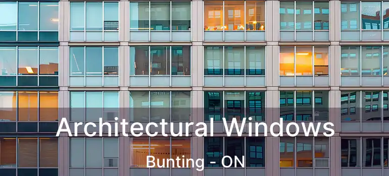  Architectural Windows Bunting - ON