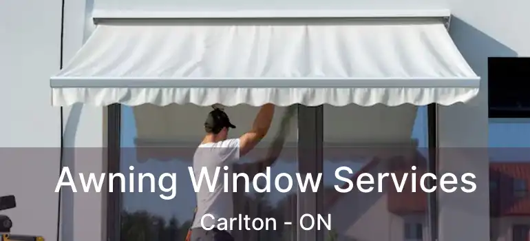  Awning Window Services Carlton - ON