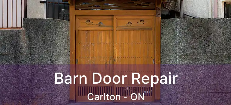 Barn Door Repair Carlton - ON