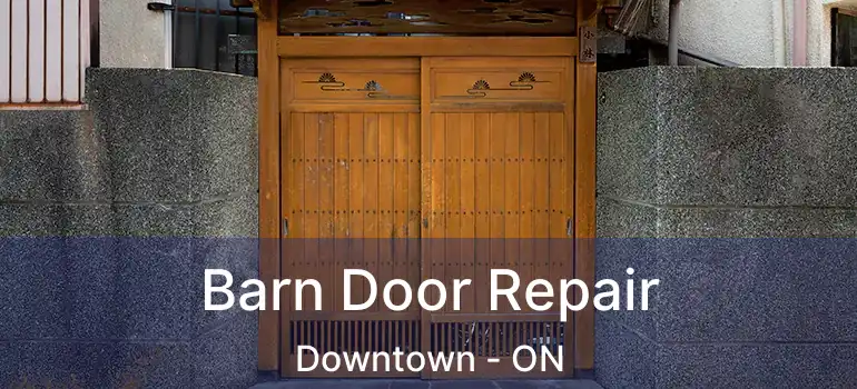 Barn Door Repair Downtown - ON