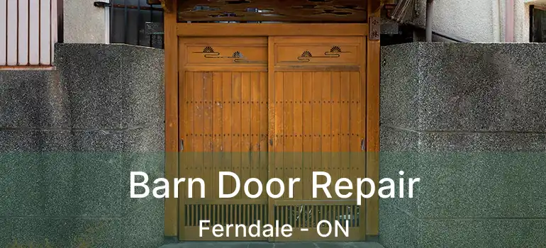 Barn Door Repair Ferndale - ON