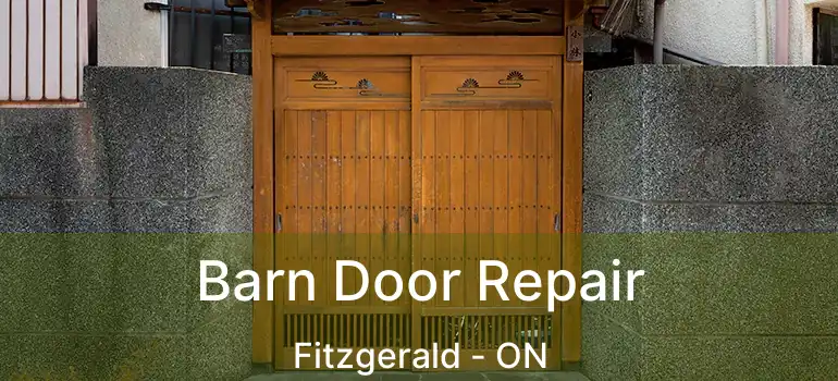 Barn Door Repair Fitzgerald - ON