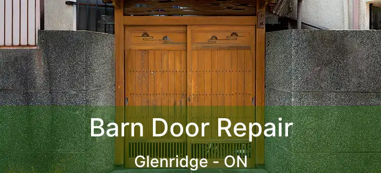 Barn Door Repair Glenridge - ON