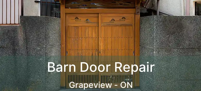 Barn Door Repair Grapeview - ON
