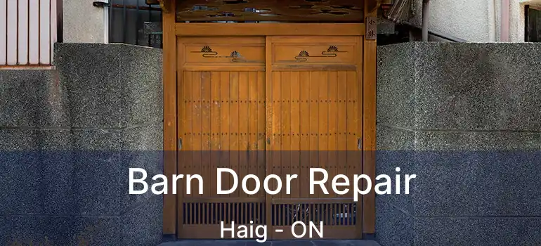  Barn Door Repair Haig - ON