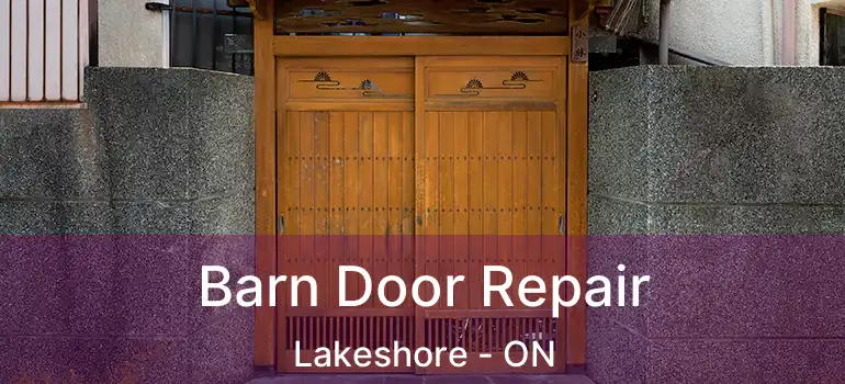 Barn Door Repair Lakeshore - ON
