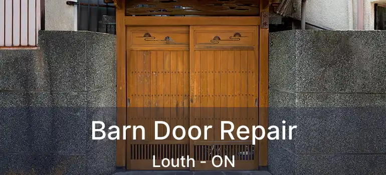 Barn Door Repair Louth - ON
