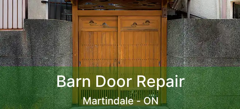 Barn Door Repair Martindale - ON