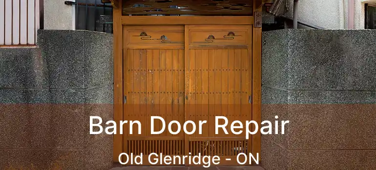  Barn Door Repair Old Glenridge - ON
