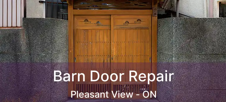 Barn Door Repair Pleasant View - ON