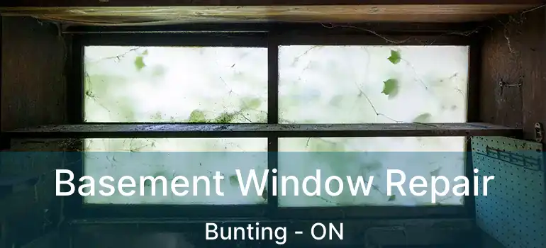  Basement Window Repair Bunting - ON