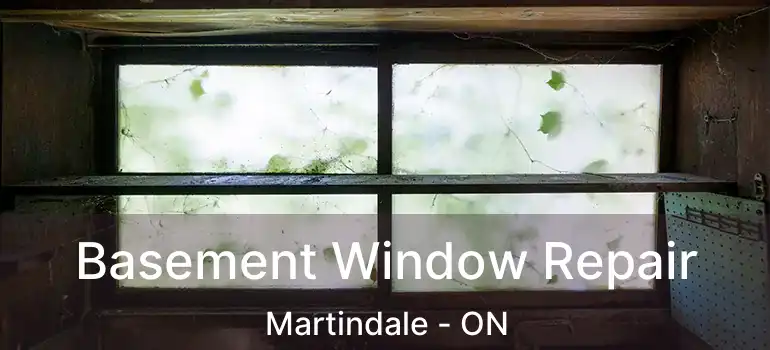 Basement Window Repair Martindale - ON