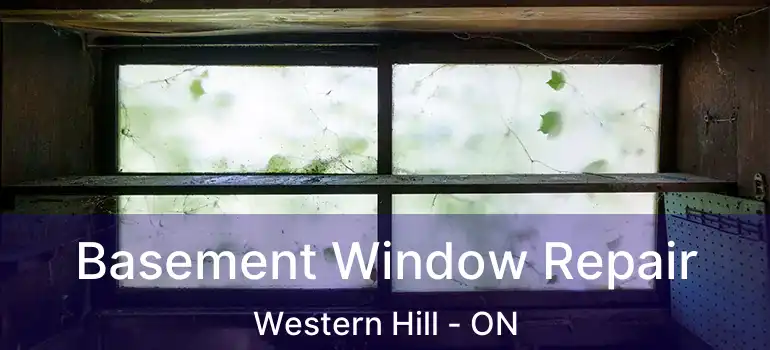 Basement Window Repair Western Hill - ON