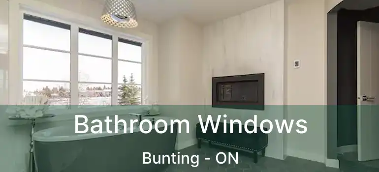  Bathroom Windows Bunting - ON