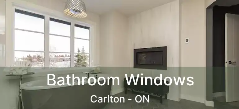  Bathroom Windows Carlton - ON