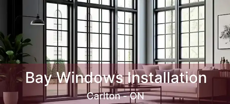  Bay Windows Installation Carlton - ON