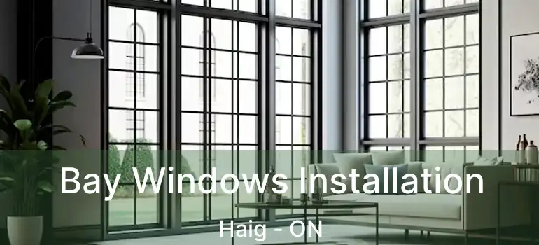  Bay Windows Installation Haig - ON