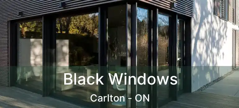  Black Windows Carlton - ON