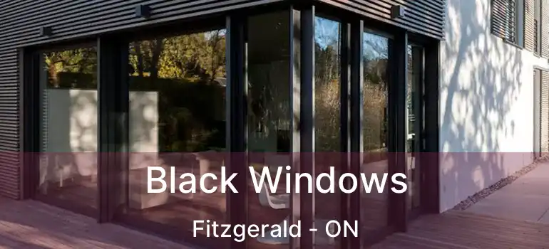  Black Windows Fitzgerald - ON