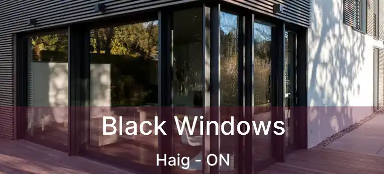  Black Windows Haig - ON