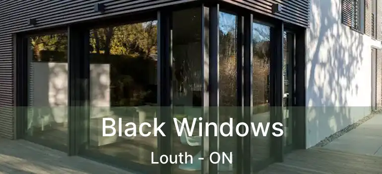 Black Windows Louth - ON