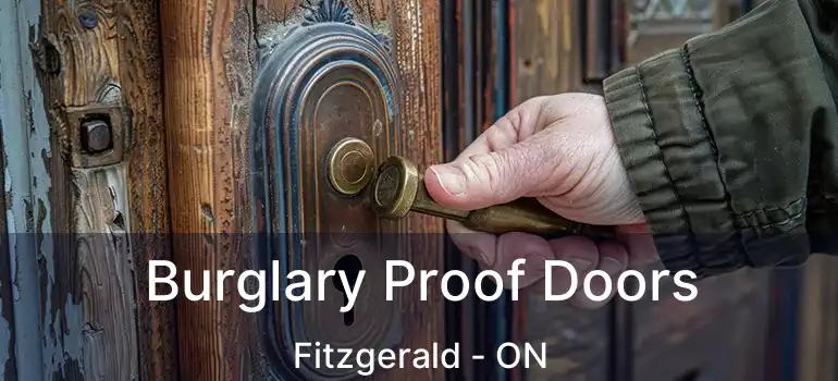  Burglary Proof Doors Fitzgerald - ON