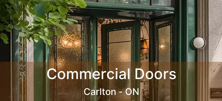 Commercial Doors Carlton - ON