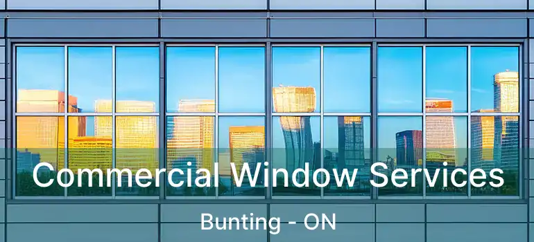  Commercial Window Services Bunting - ON