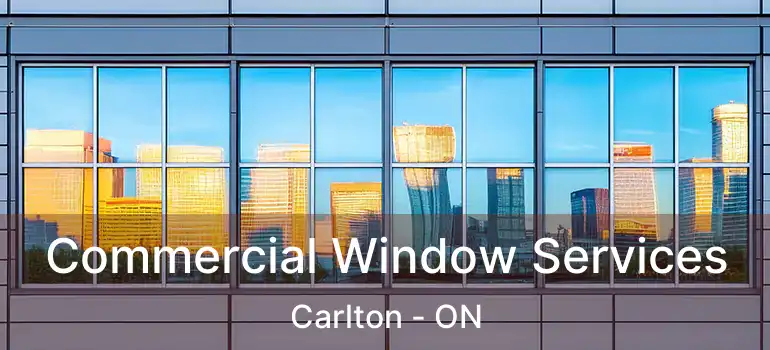  Commercial Window Services Carlton - ON