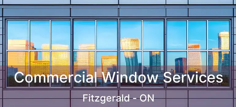  Commercial Window Services Fitzgerald - ON