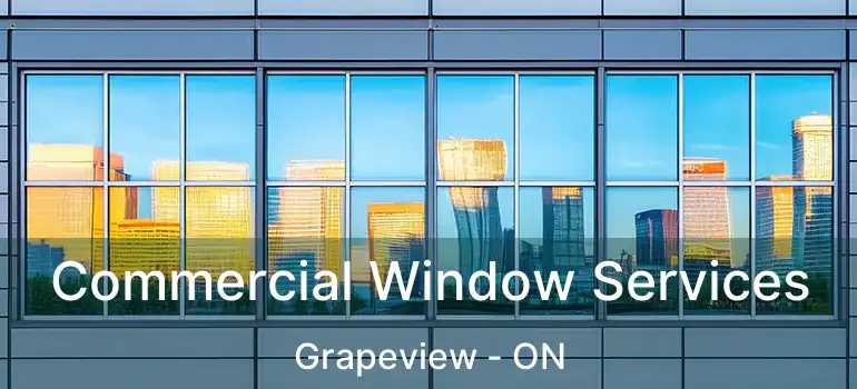  Commercial Window Services Grapeview - ON