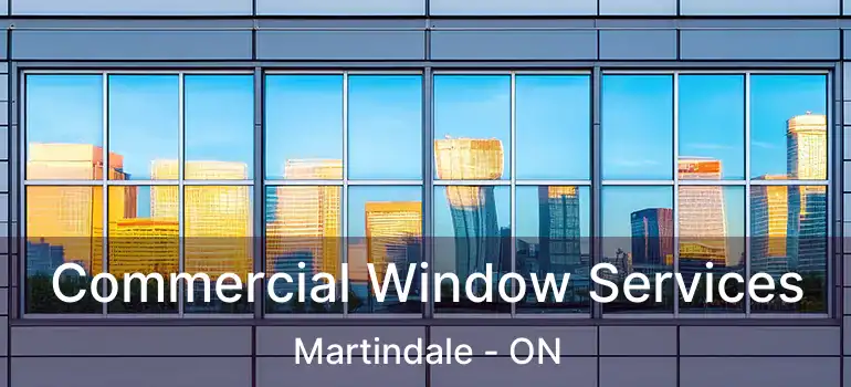Commercial Window Services Martindale - ON