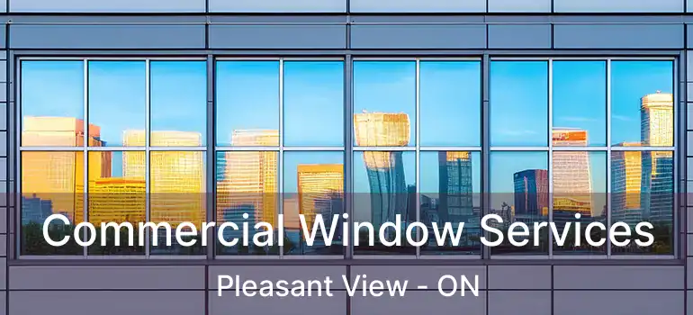  Commercial Window Services Pleasant View - ON