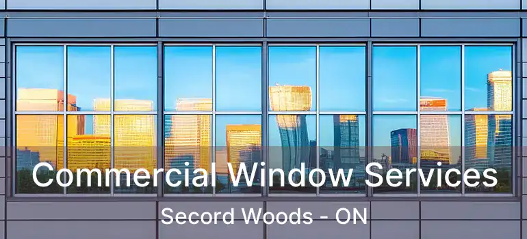  Commercial Window Services Secord Woods - ON
