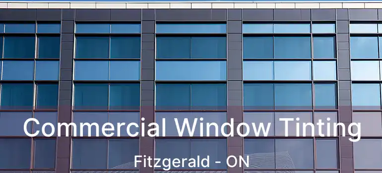 Commercial Window Tinting Fitzgerald - ON