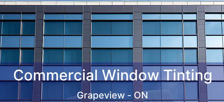  Commercial Window Tinting Grapeview - ON