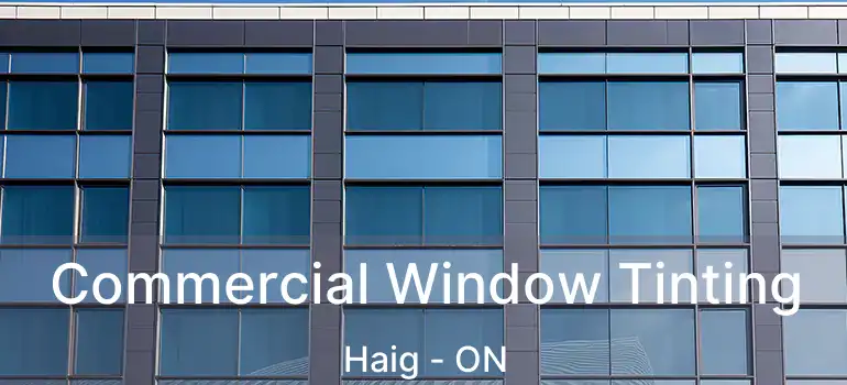  Commercial Window Tinting Haig - ON