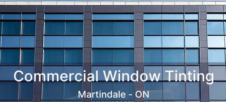  Commercial Window Tinting Martindale - ON