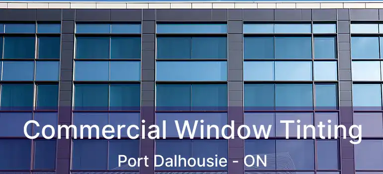  Commercial Window Tinting Port Dalhousie - ON
