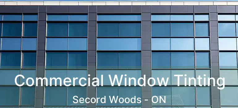  Commercial Window Tinting Secord Woods - ON