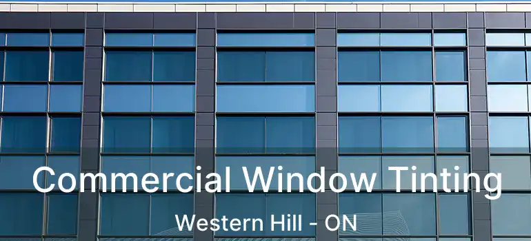 Commercial Window Tinting Western Hill - ON