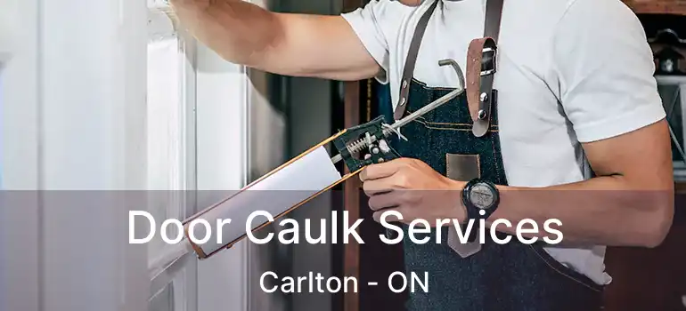  Door Caulk Services Carlton - ON