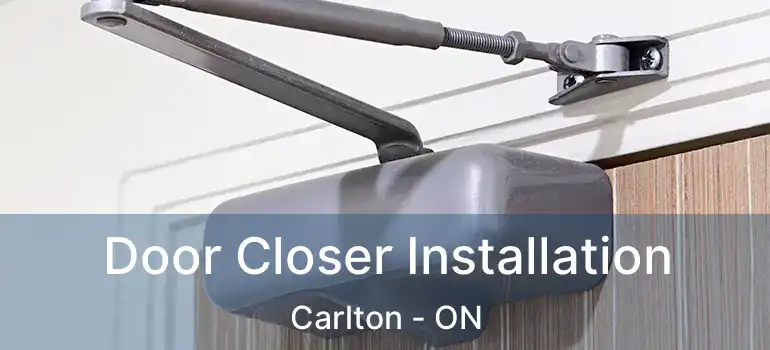  Door Closer Installation Carlton - ON