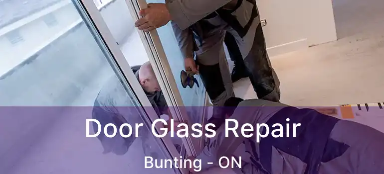  Door Glass Repair Bunting - ON